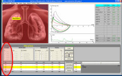 Tgol.e-spirometry screenshot