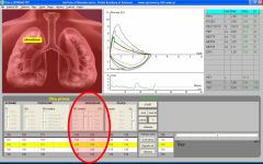 Tgol.e-spirometry screenshot